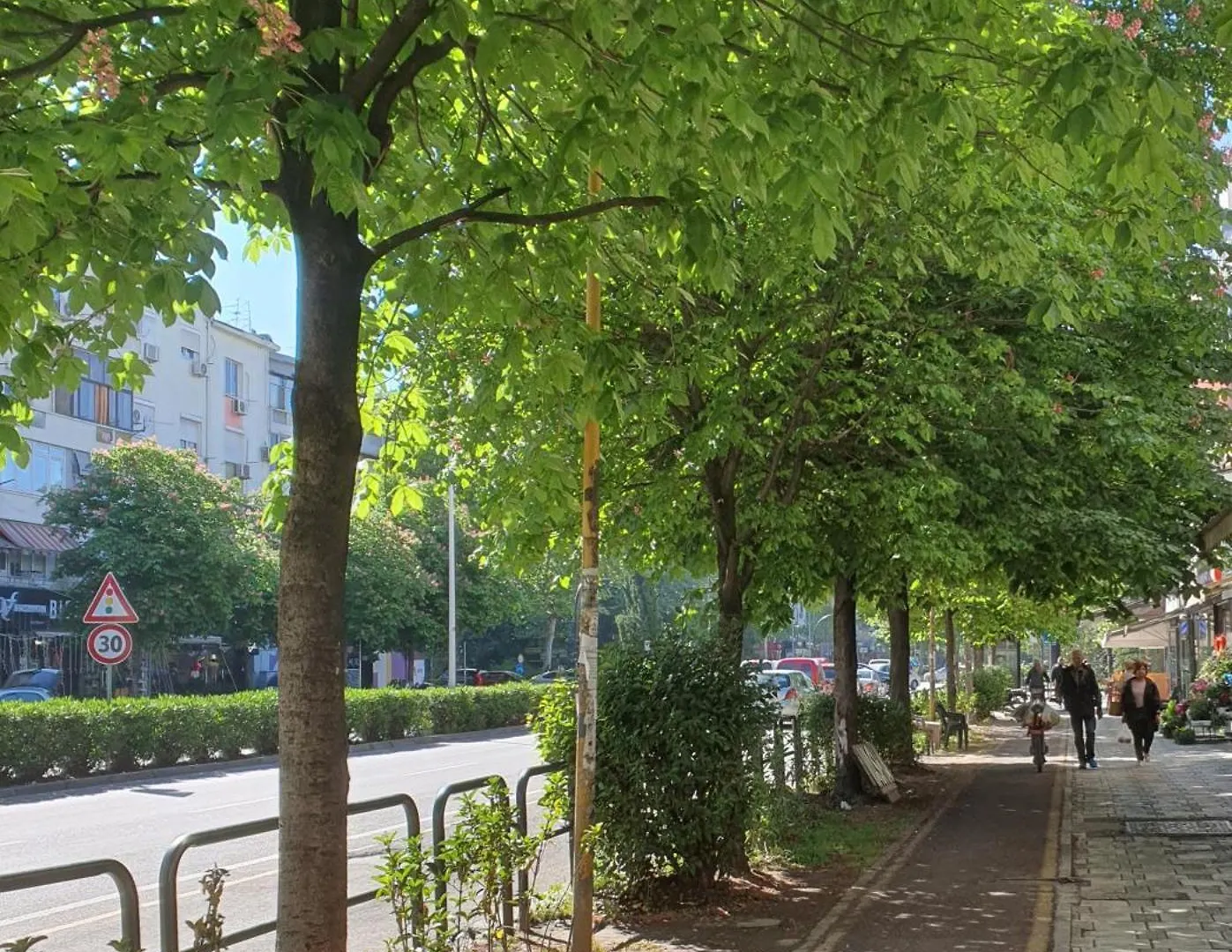 Main Street Apartment Tirana